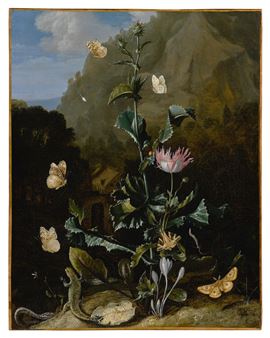 Still life of a thistle and other flowers surrounded by moths, a dragonfly, a lizard and a snake, in a landscape - Otto Marseus van Schrieck