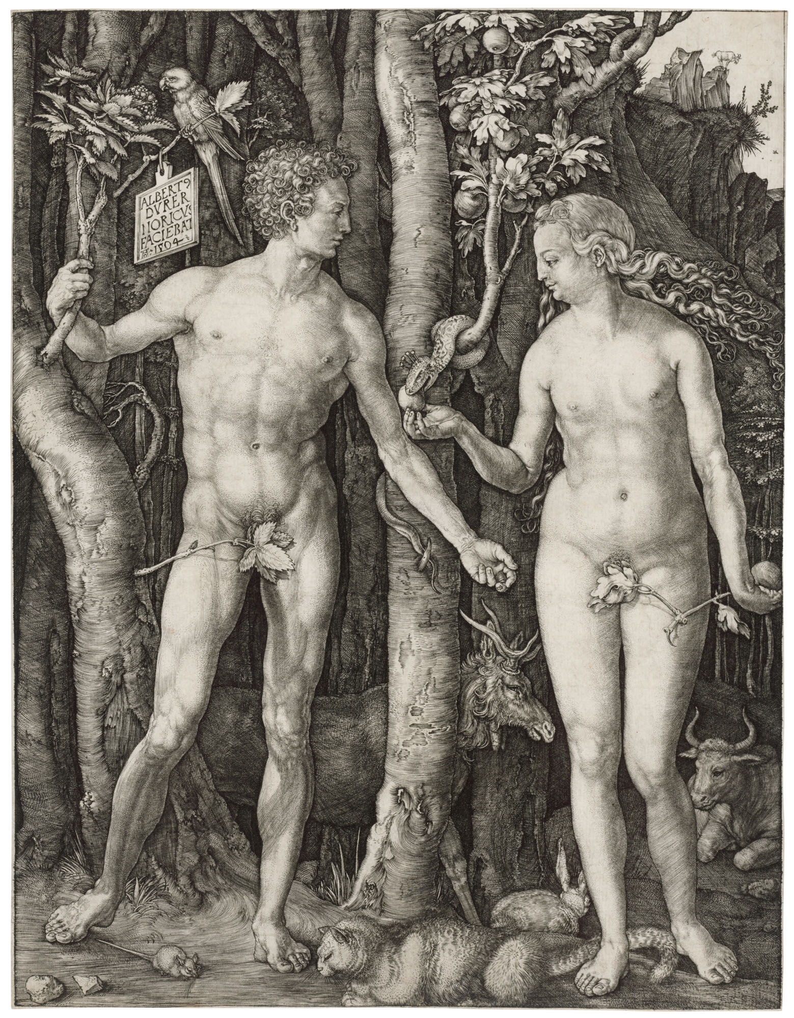 Adam and Eve by Albrecht Dürer, 1504