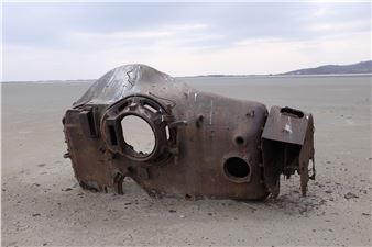 Trunkless - Öktem Aykut