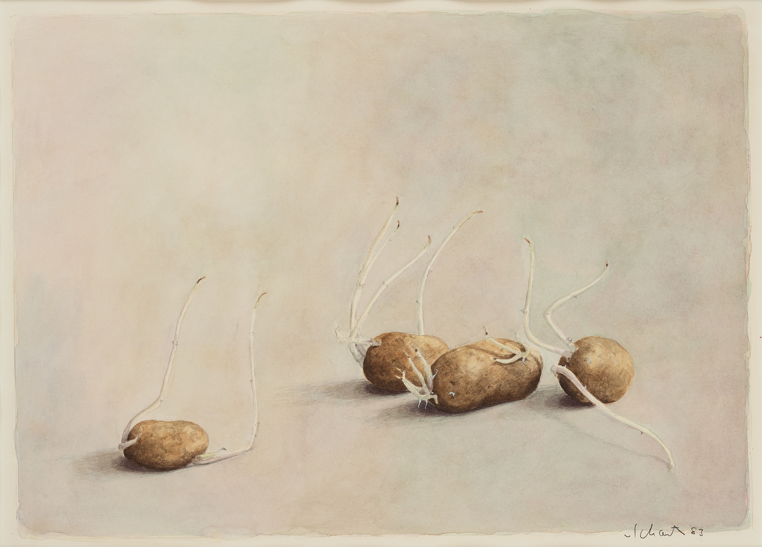 "Potatisgroddar" by Philip von Schantz, 1983