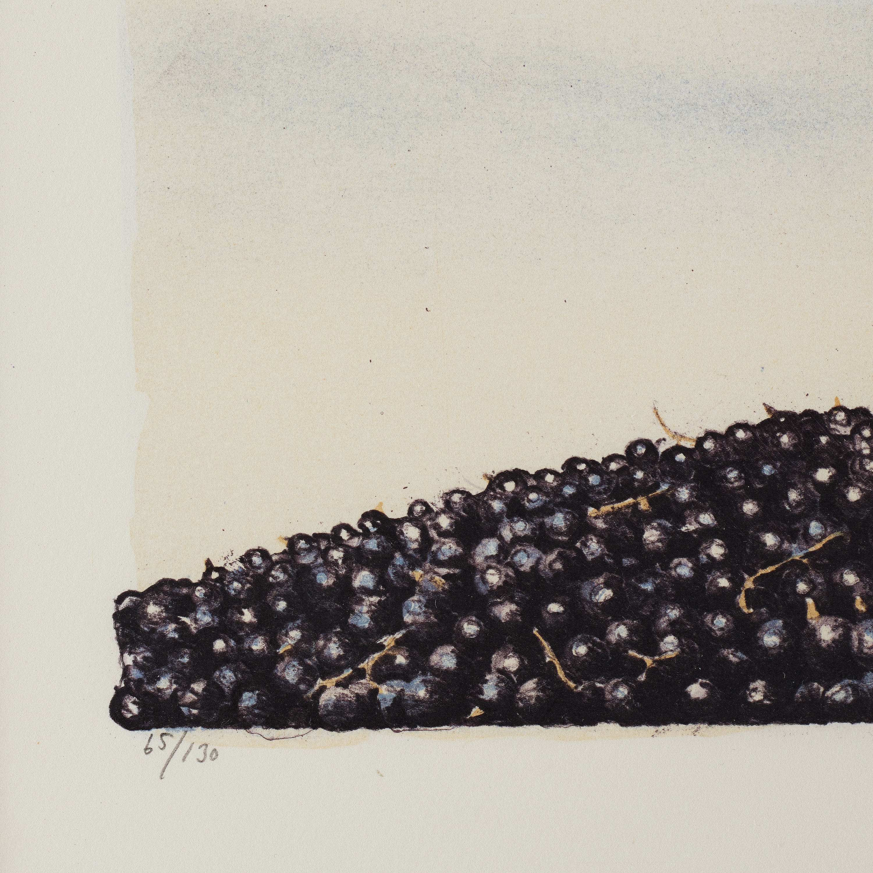 Artwork by Philip von Schantz, Svarta vinbär, Made of lithograph