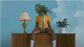 5 Online Photography Shows