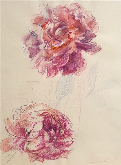 Studie květin by Lucie Jiřičková