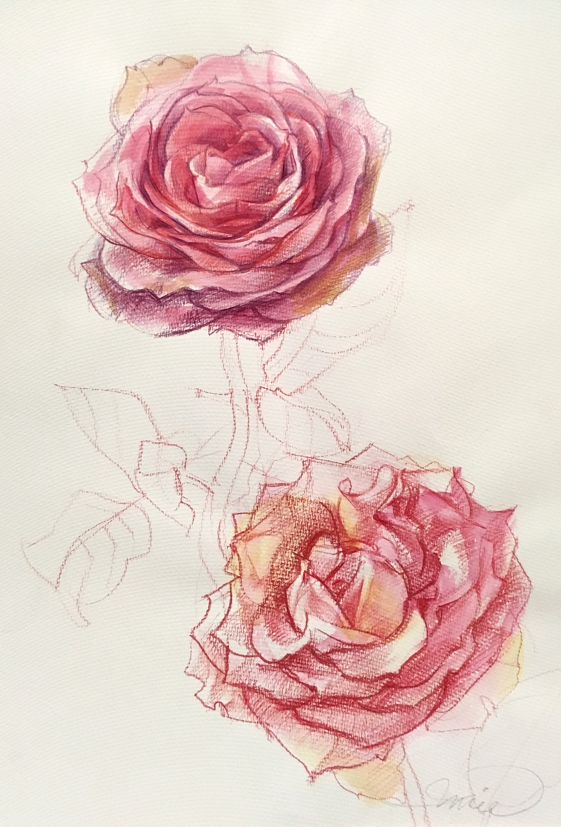 Artwork by Lucie Jiřičková, Obraz Studie květin, Made of drawing paper