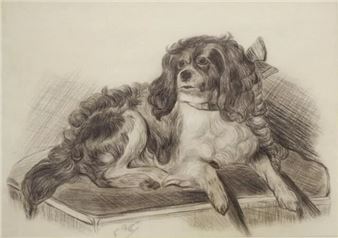 Dog picture - N. Ryan