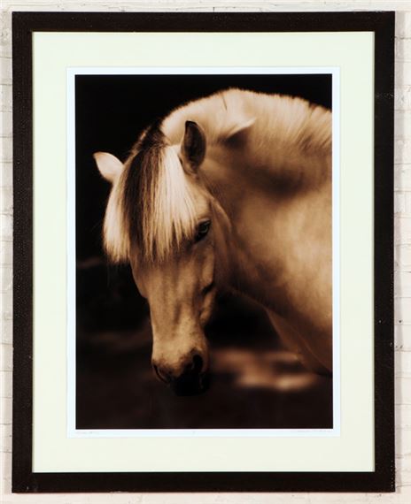 Horse #80 by Michael Eastman
