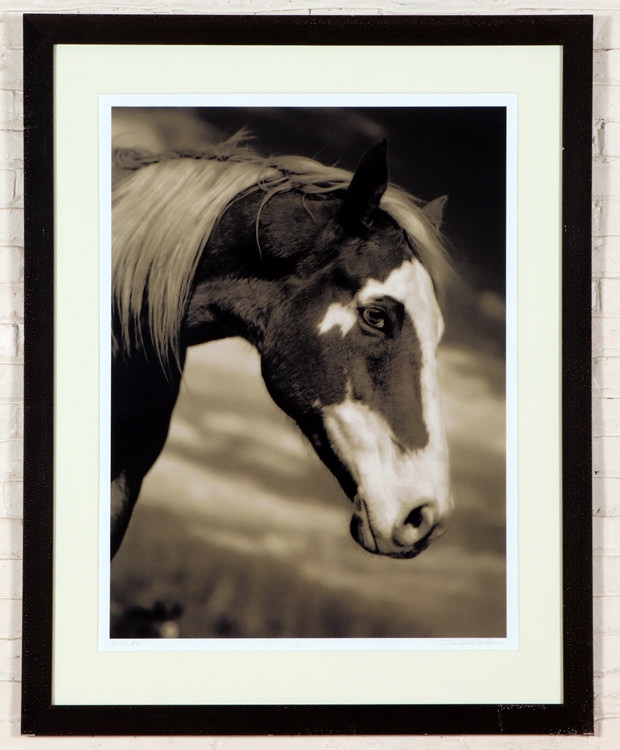 Artwork by Michael Eastman, Horse #66, Made of photograph