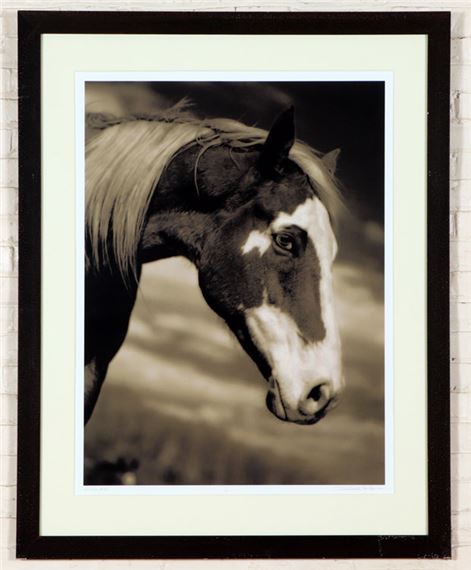 Horse #66 by Michael Eastman