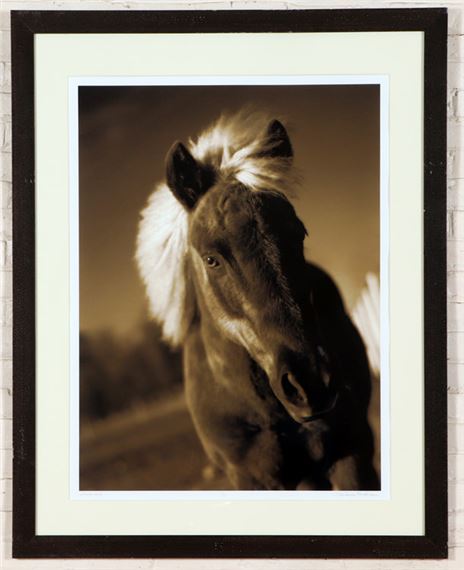 Horse #34 by Michael Eastman