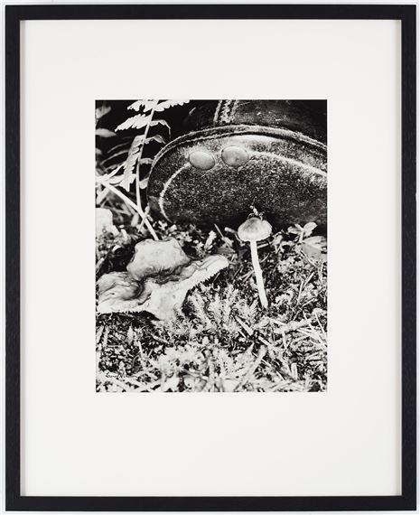 Untitled by Lennart Nilsson