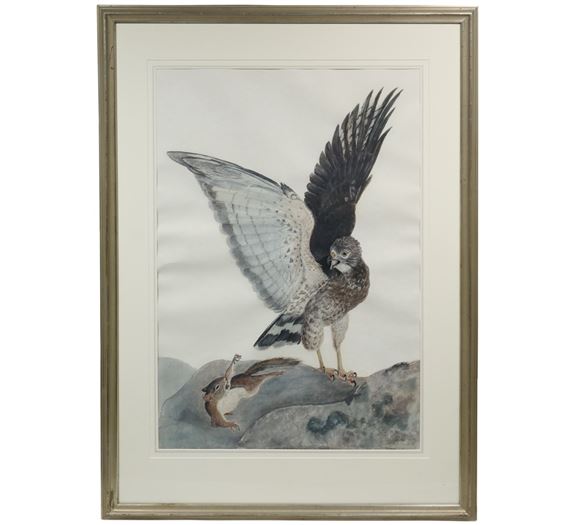 "Sparrow Hawk with Red Squirrel" by Carroll Sargent Tyson