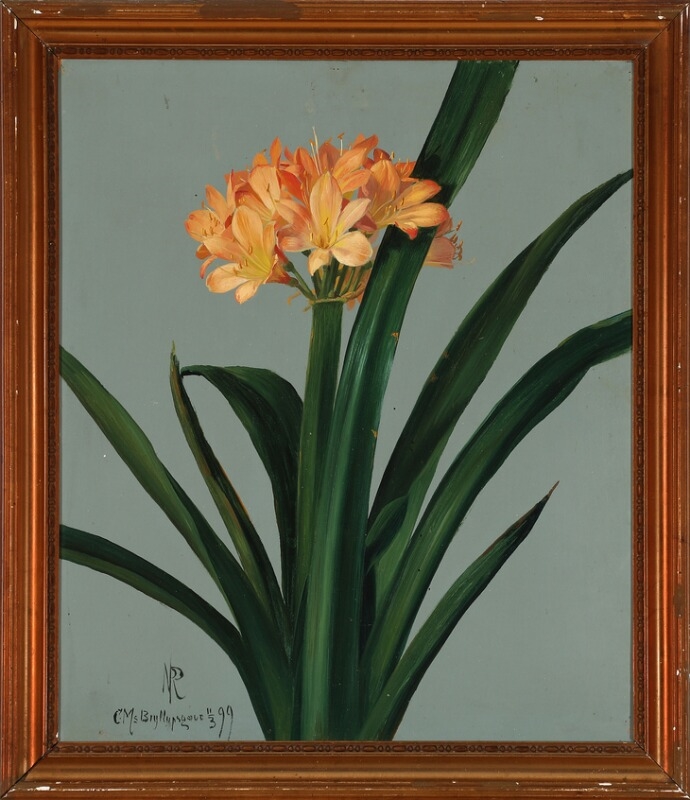 Artwork by Niels Peter Rasmussen, Amaryllis belladonna, Made of Oil on paper laid on cardboard