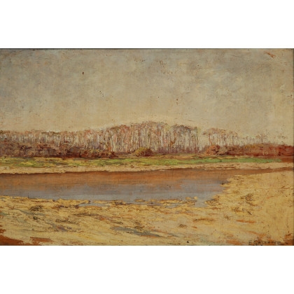 Artwork by Enzo Gazzone, L'Elvo a Casanova, Made of oil on panel