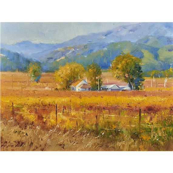 Colors of Napa Valley by Po Pin Lin