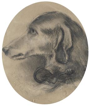 Study of a dog in profile - A. P. Meredith