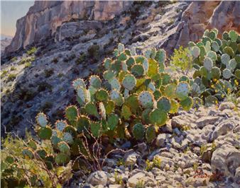 Texas Masters 2021 - InSight Gallery