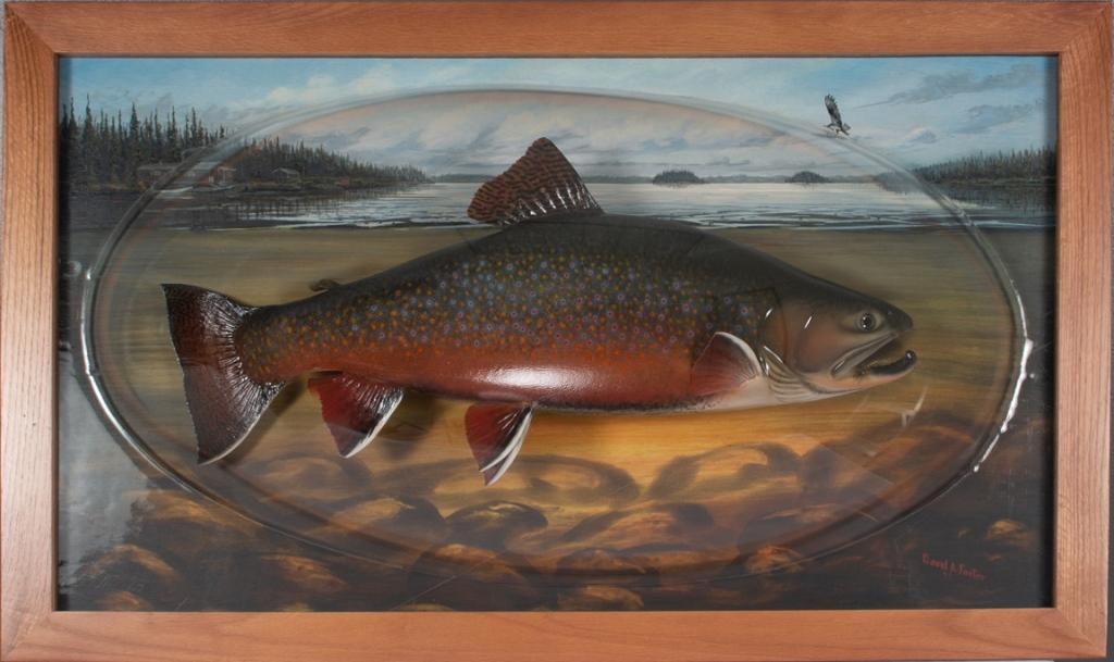 David A. Footer BROOK TROUT TAXIDERMY MOUNT (1999) MutualArt