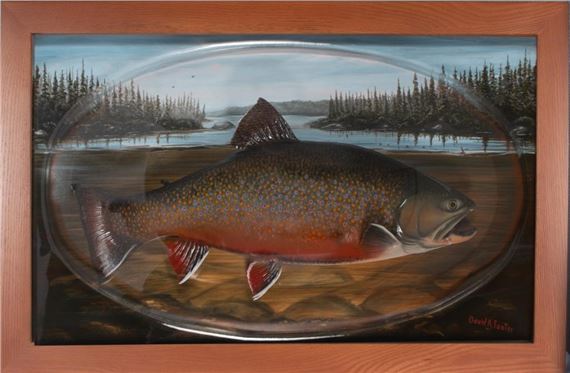EXCEPTIONAL 9 LB. BROOK TROUT MOUNT - David A. Footer