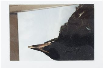 King - Denis Proteor