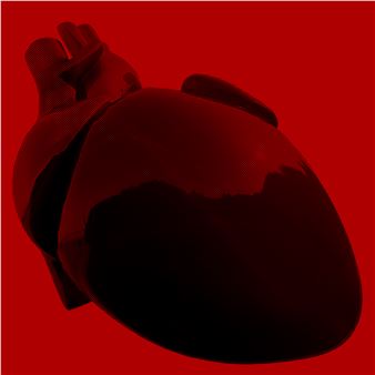 The Night Will Drive a Heart - Wrocław Contemporary Museum