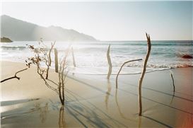 Inside Japanese Artist Shimabuku’s Retrospective, Which Taps into Our Wanderlust