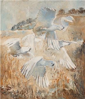 Sulphur Crested Cockatoos - F.J. Beeman