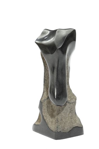 Organic form by Niels Peter Bruun Nielsen