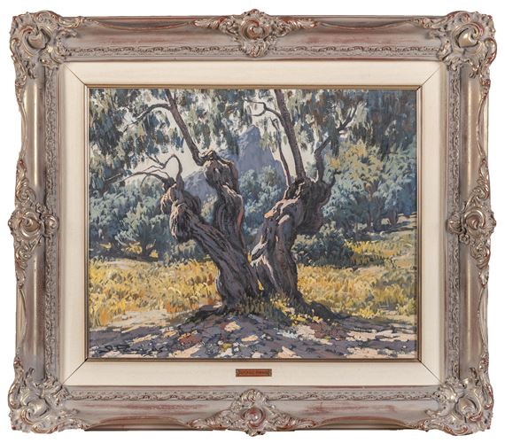 Olivo by Alfonso Parras Vílchez