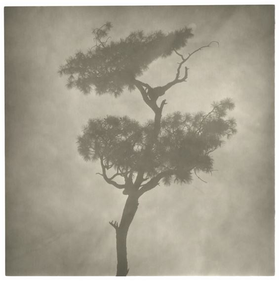 Wù Méngméng - gdm Hong Kong