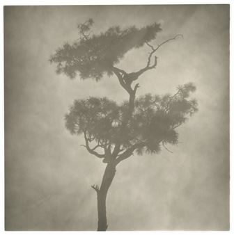 Wù Méngméng - gdm Hong Kong