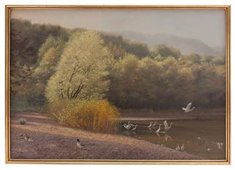 Luce d'estate - Marco Ramasso