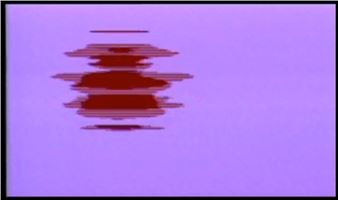 Geneviève Calame - Act-Art, Halle Nord