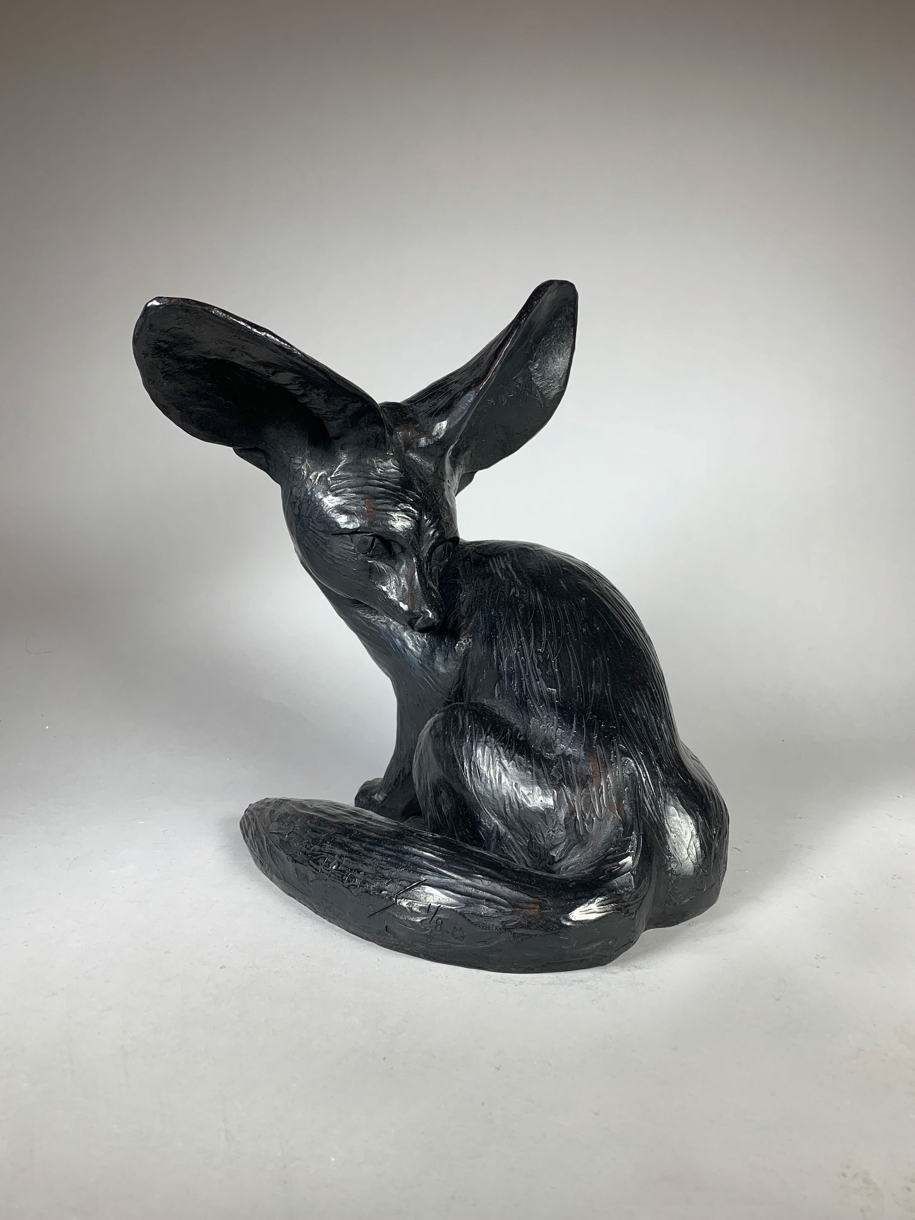 Fennec Hare
