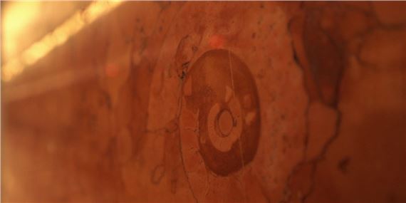 Cyprien Gaillard - Mori Art Museum