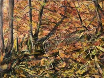 Woods near Edwardsville - David Gould