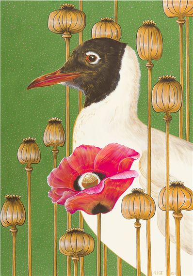 Blackhead seagull by Adelajda Kot, 2021