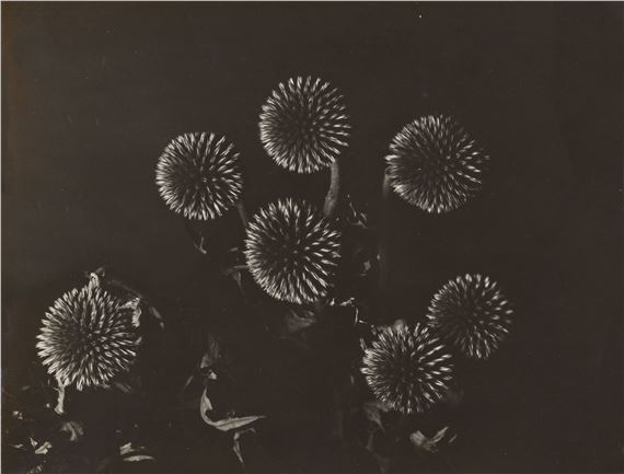 rencontre fortuite d un parapluie