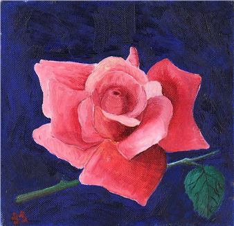 PINK ROSE - Silvia Stori