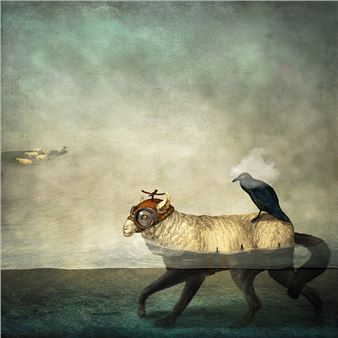 Maggie Taylor: New Images + Conversation