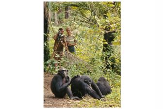 Becoming Jane: The Evolution of Dr. Jane Goodall - The Field Museum