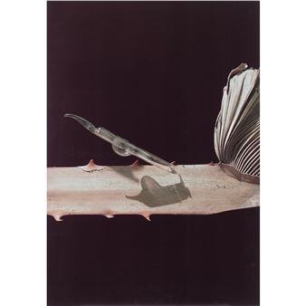 Composition - Davide Sebastian