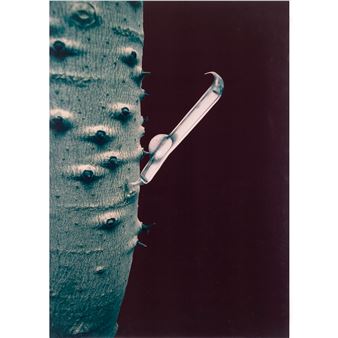 Composition - Davide Sebastian