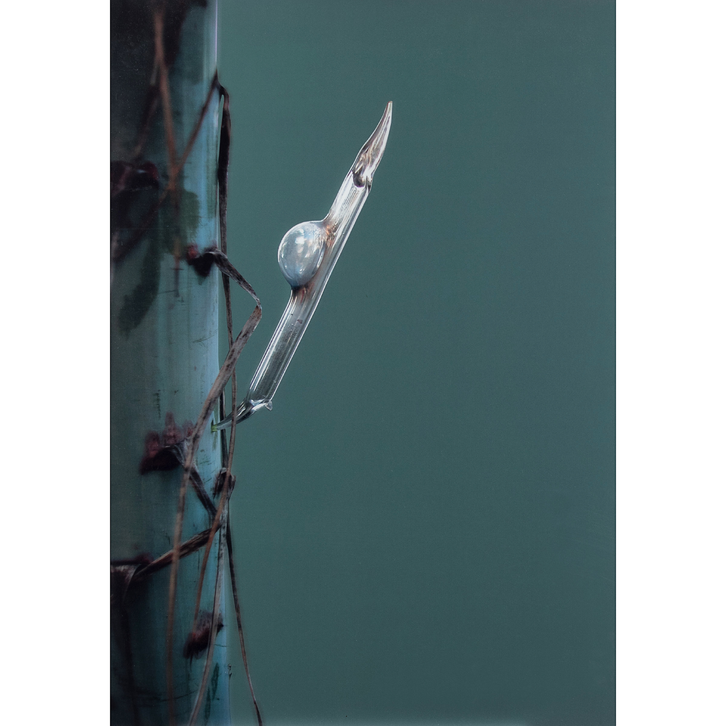 Artwork by Davide Sebastian, Composizione, Made of photo on aluminum