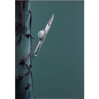 Composizione - Davide Sebastian