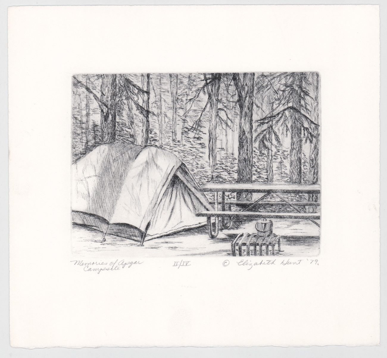 Elizabeth Hunt | Nature | MutualArt