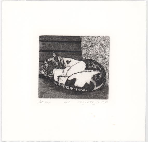 Elizabeth Hunt | Cats | MutualArt