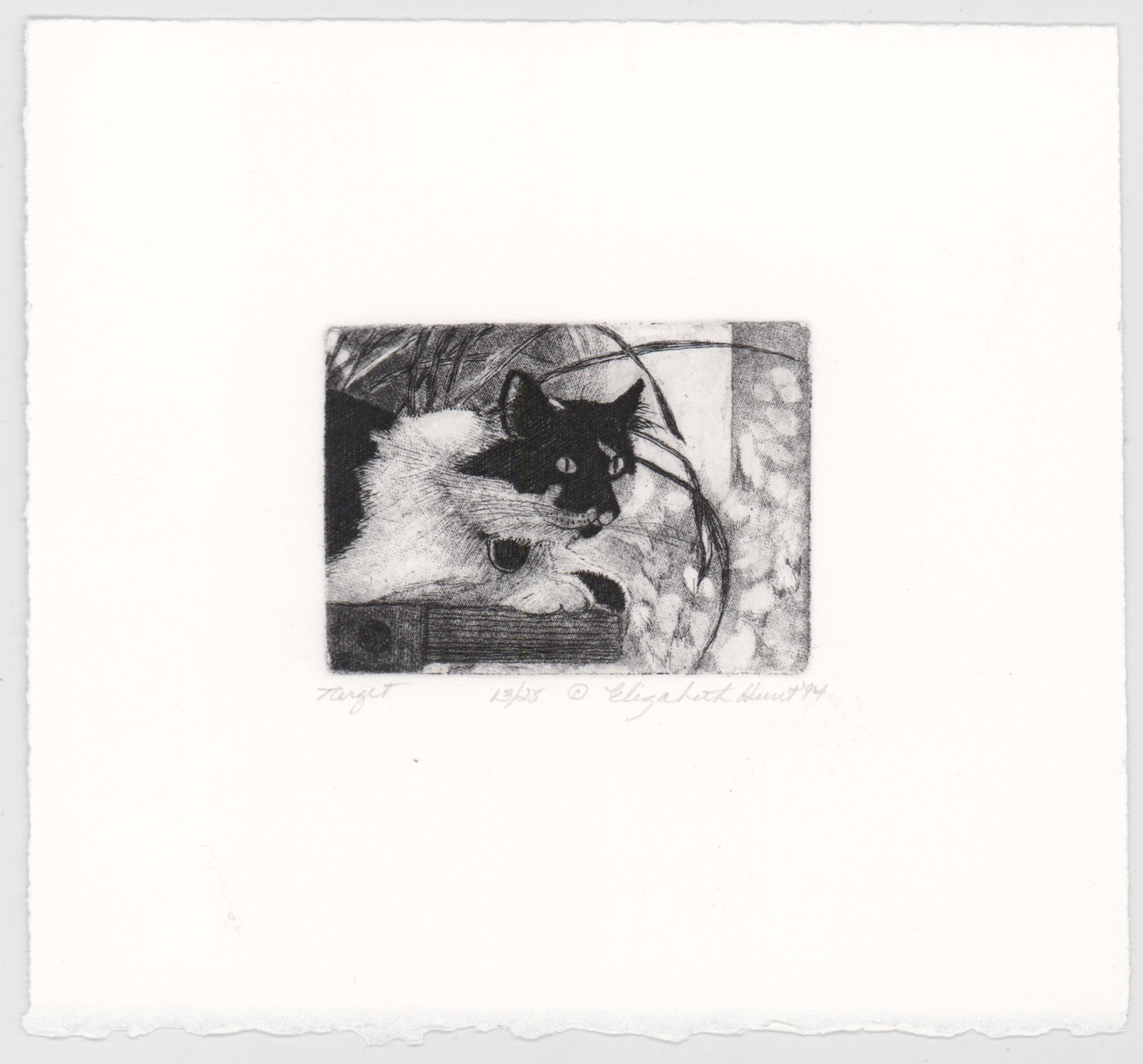 Elizabeth Hunt | Cats | MutualArt