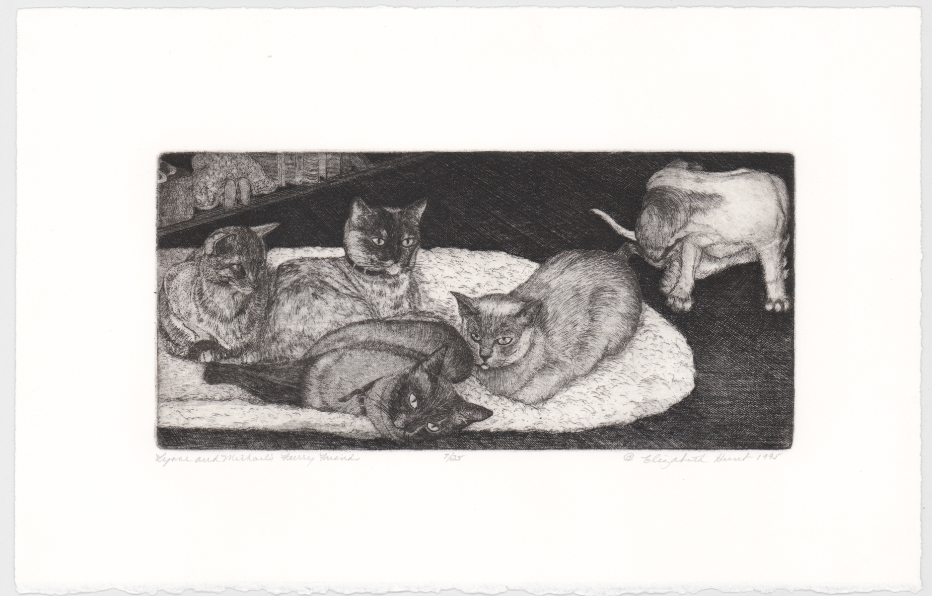 Elizabeth Hunt | Cats | MutualArt