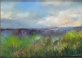 ʱż - Tadeusz Dorota