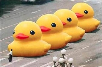 Send me an Image. From Postcards to Social Media - C/O Berlin